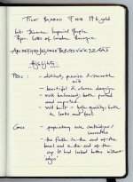 review writing sample.jpg