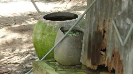 Mekong delta rever with DMC-TZ3 (8).jpg