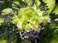 Hoa hong trang 2.jpg