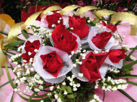 Hoa Hong Do copy.gif