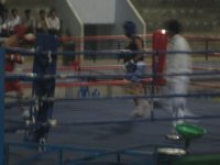 Boxing 005.jpg