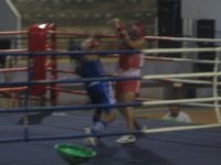 Boxing 009.jpg