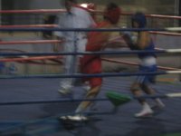 Boxing 014.jpg