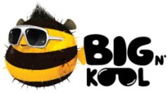 bigkool2..jpg