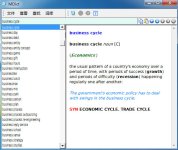 Oxford Business English Dictionary.jpg