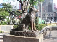 hachiko2005054.jpg
