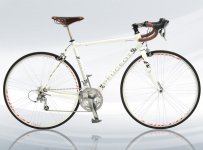 Peogeot Speed Sport Edition Mellisim.jpg