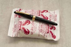 Pilot-Elite-Custom-Black-6.jpg