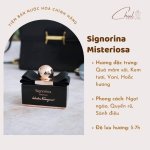 z4427543772361_69b83d91dc59ad0a7ece8f9c38f69a4a - Sao chép.jpg