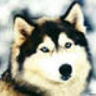 x_wolfs25