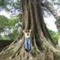 phầnmềmbánhàng