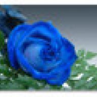 bluerose9x