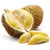 durian037