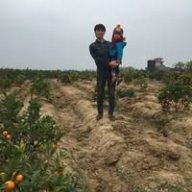Đàm Hoành