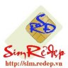 SimReDep vn